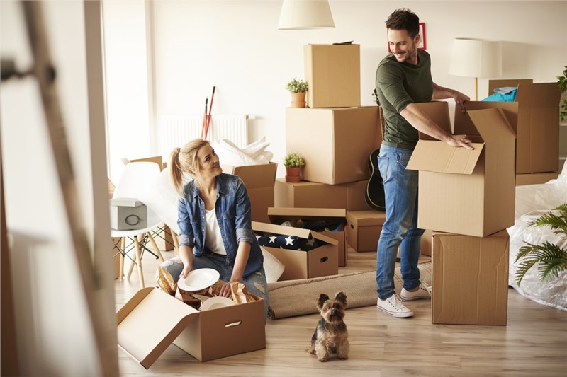 Norwood movers