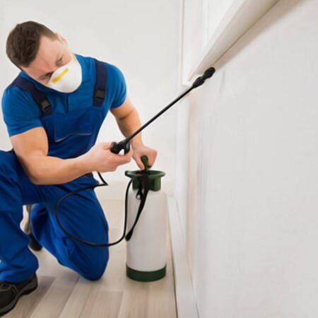 Proven Pest Management Solutions Support Healthier Residential Environments